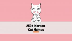 korean cat names