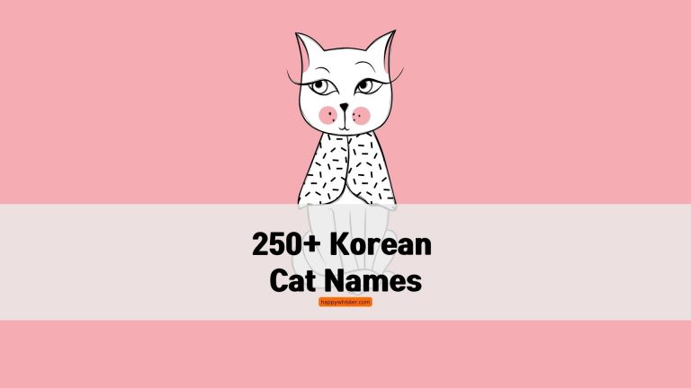 korean cat names