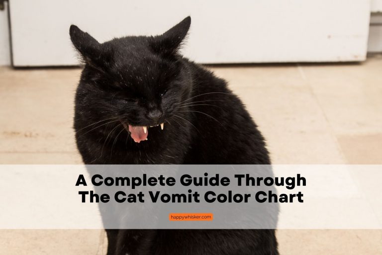 cat vomite color chart