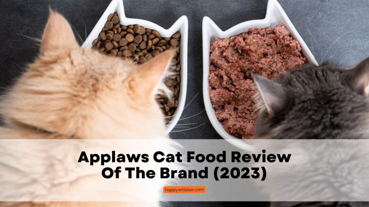 Applaws Cat Food Review Of The Brand And Top Products (2023)