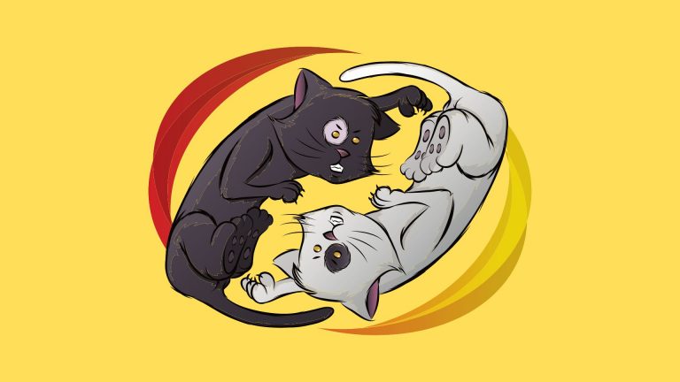 two cats fighting