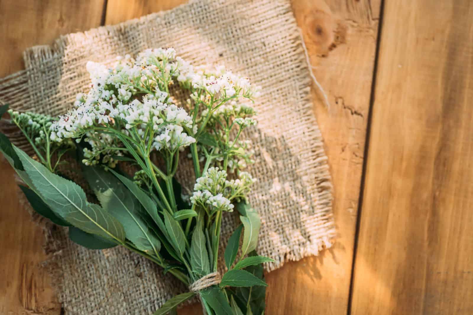 Bouquet of Valerian on wooden table