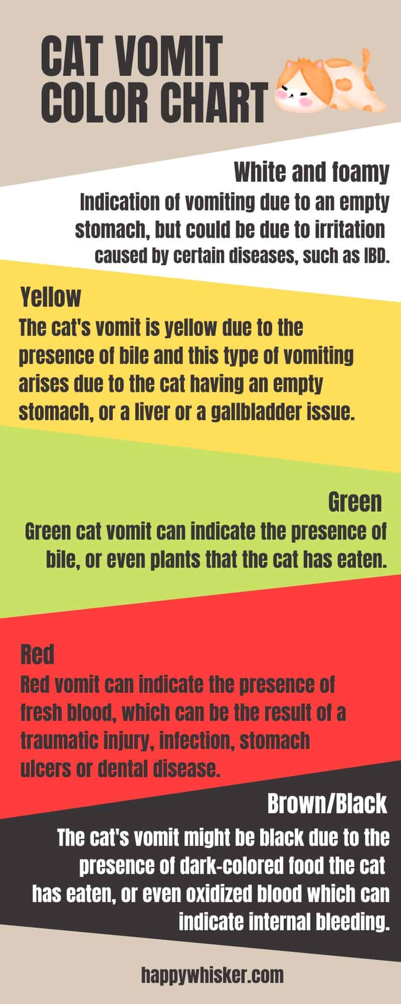 CAT VOMIT COLOR CHART