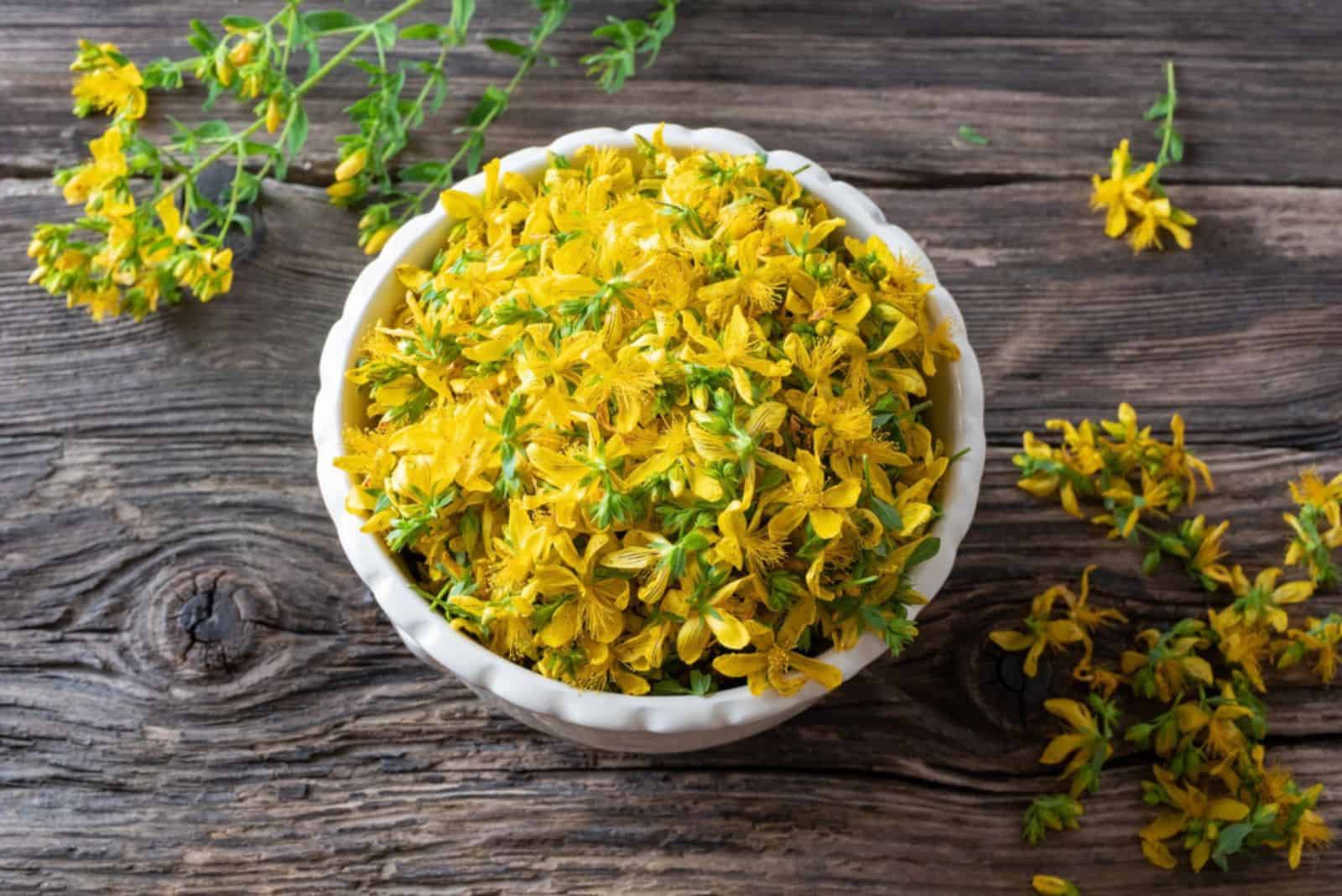 Fresh St. John's wort flowers in a bowl