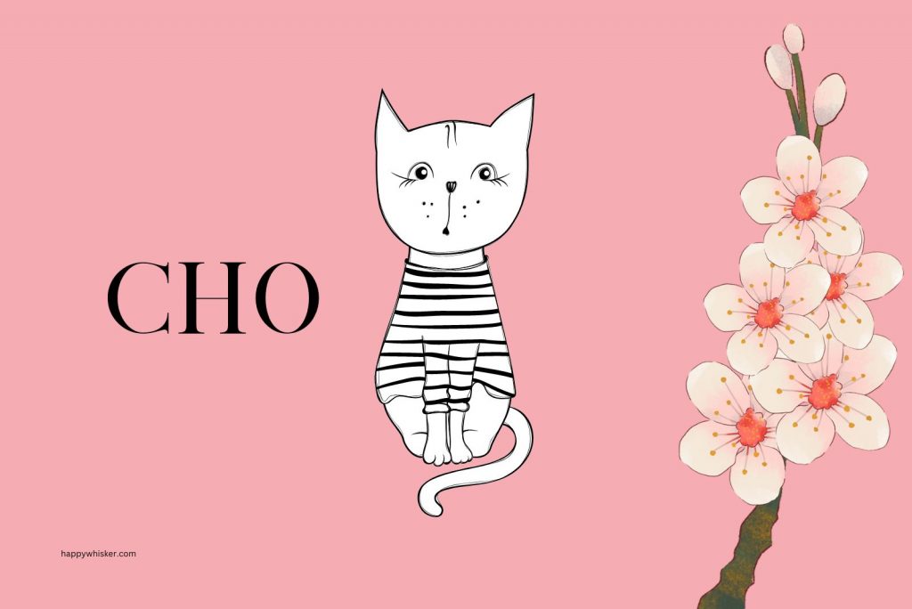 250+ Korean Cat Names You Will Love, Or Should I Say, Sarang