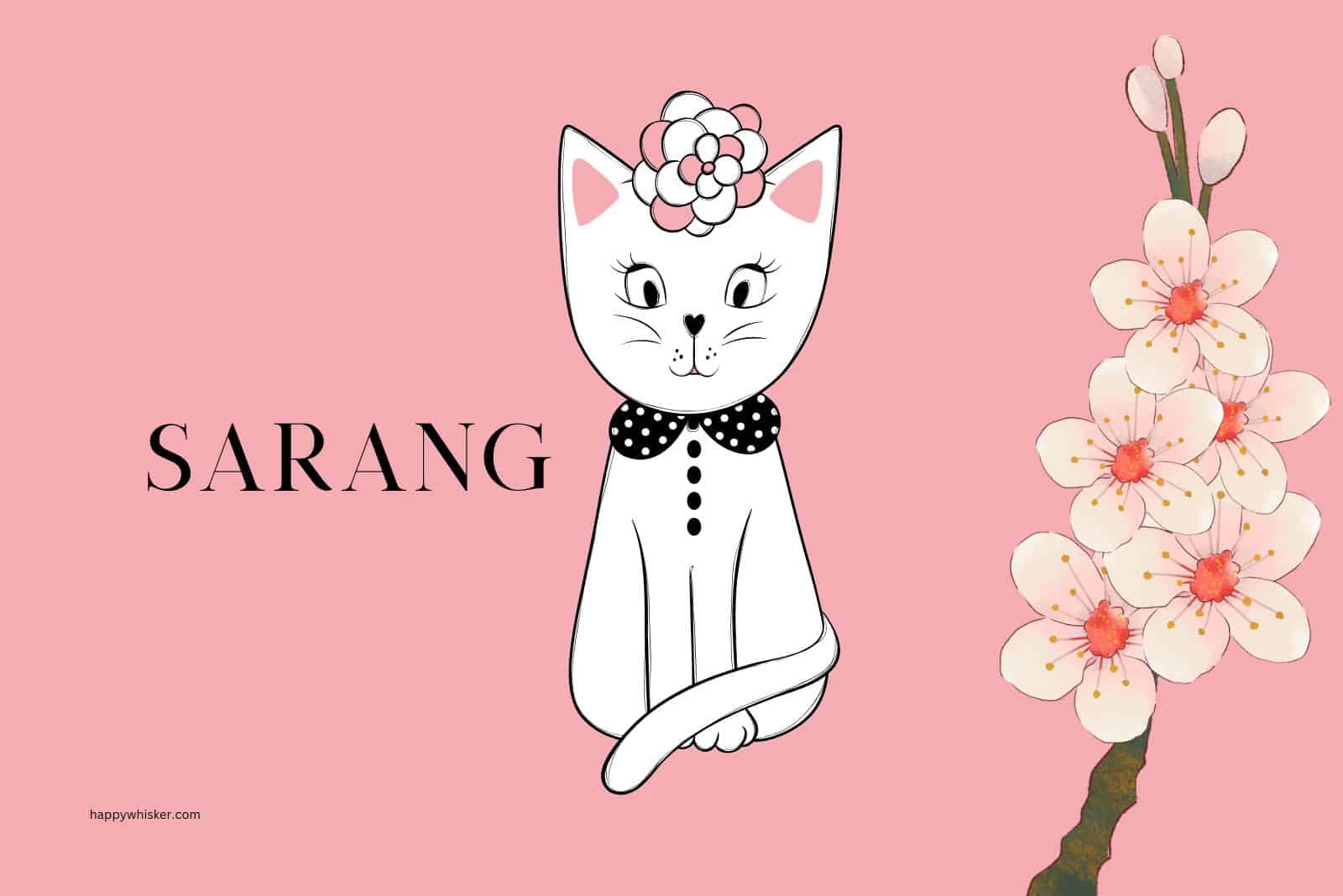 Cute Korean Names For Cats Male