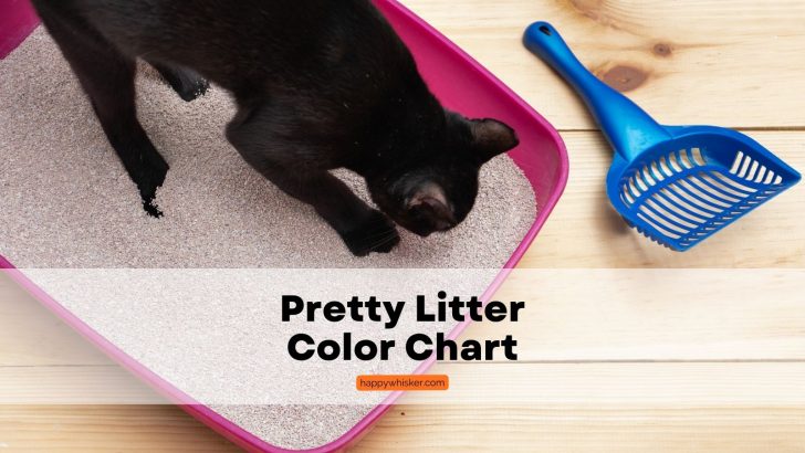 Pretty Litter Color Chart – When Colors Speak To Us (2023)