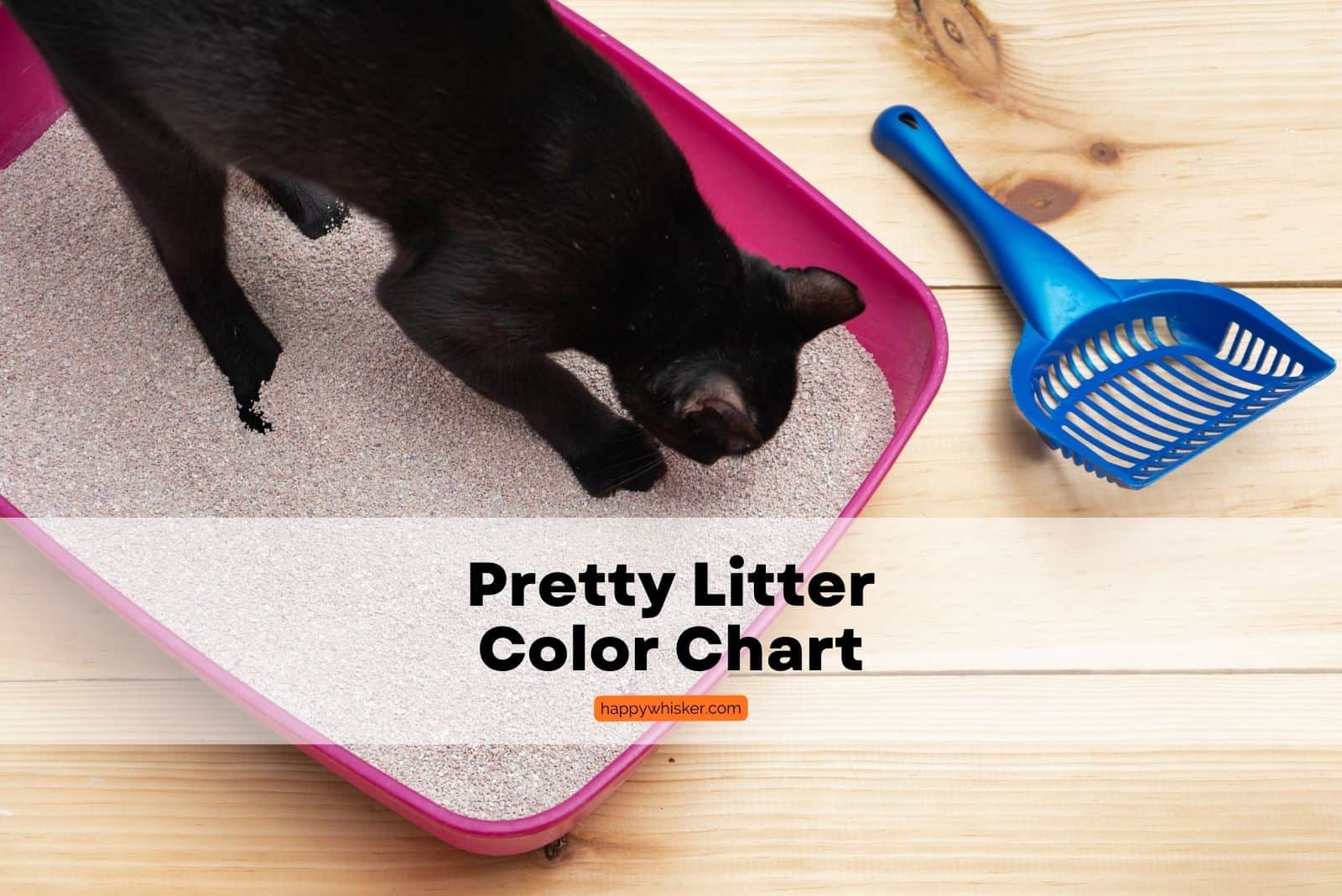 Pretty Litter Color Chart When Colors Speak To Us (2023)