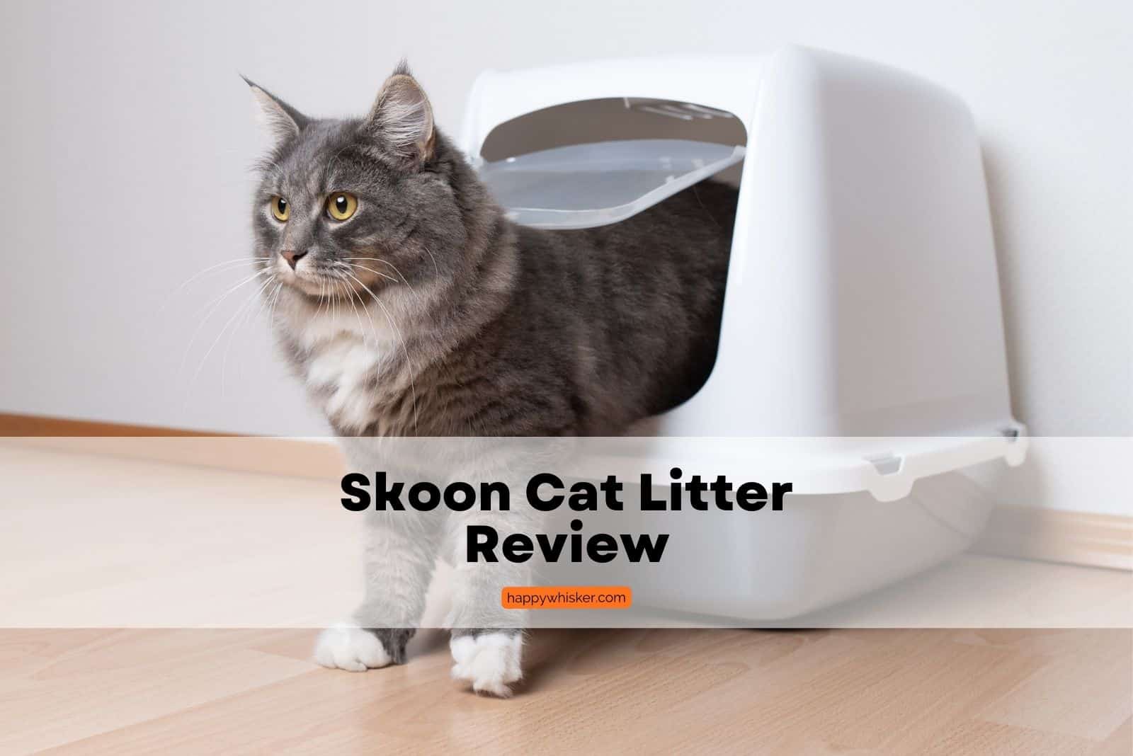 long haired cat stepping out of a litter box, where skoon cat litter was used