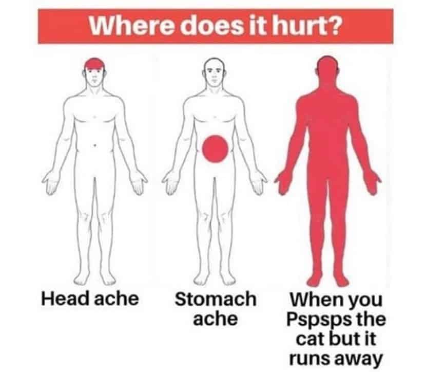 Where does it hurt
