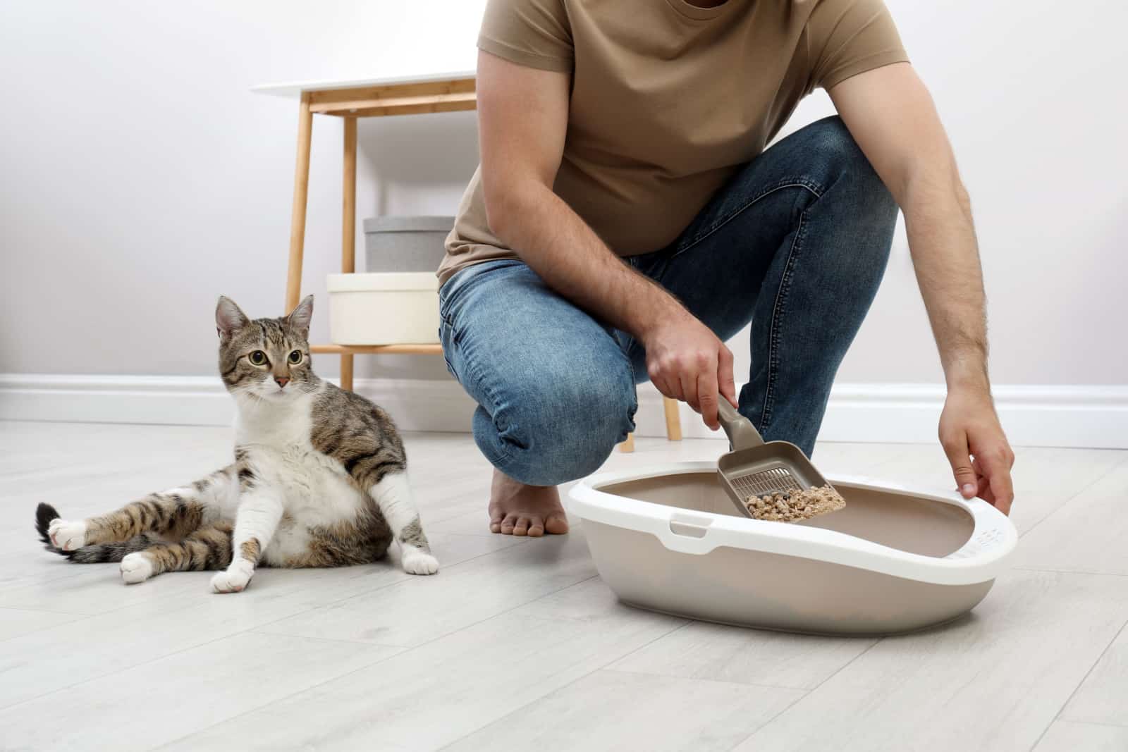 Young man cleaning cat litter tray at home