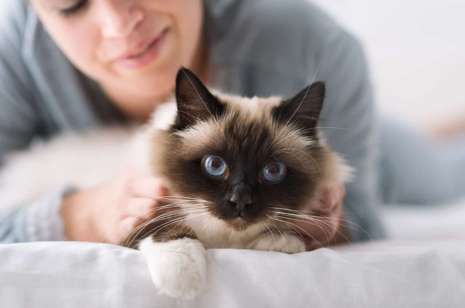 cat with woman in background