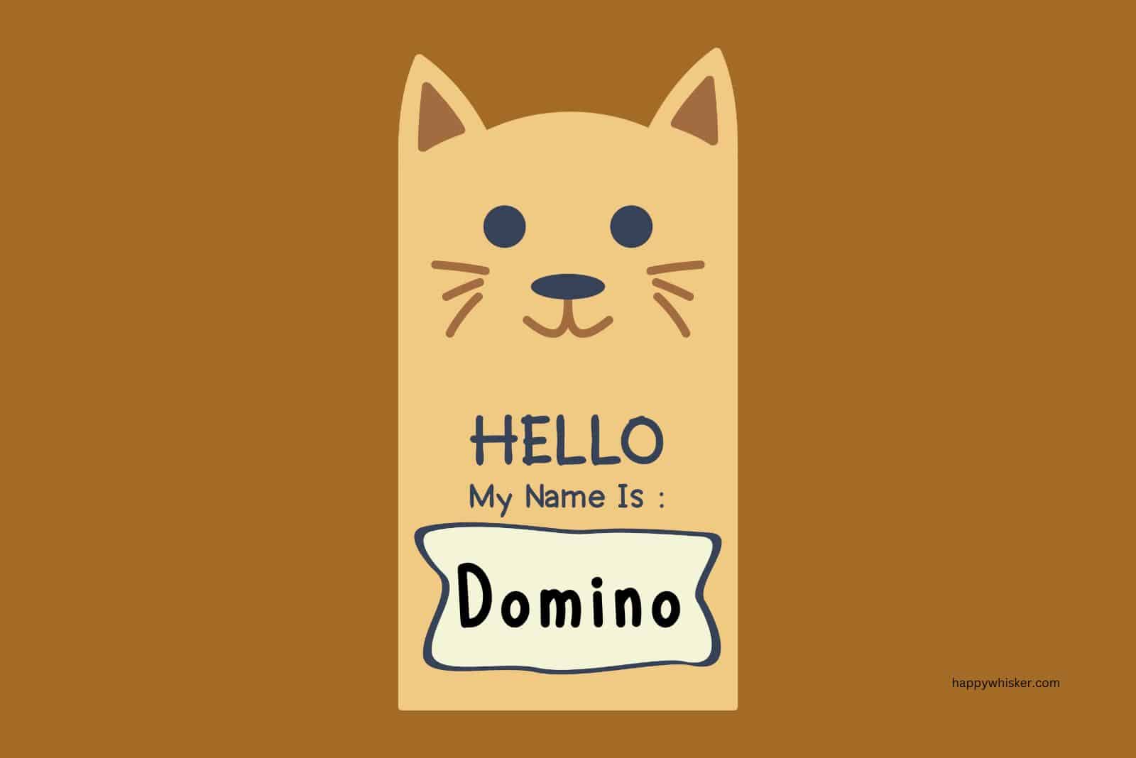 270 Brown Cat Names So Good You ll Want To Choose Two