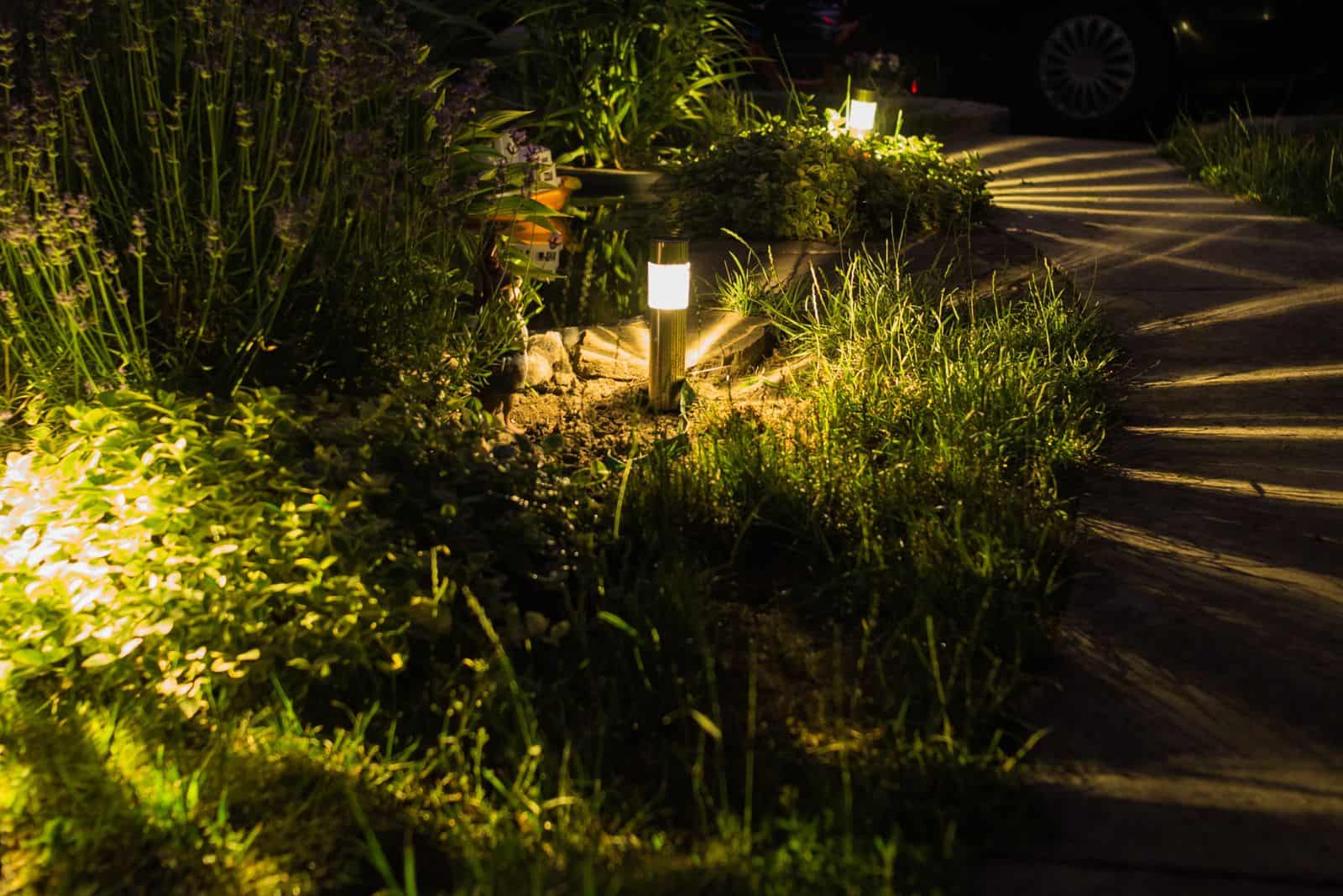 garden with lamps