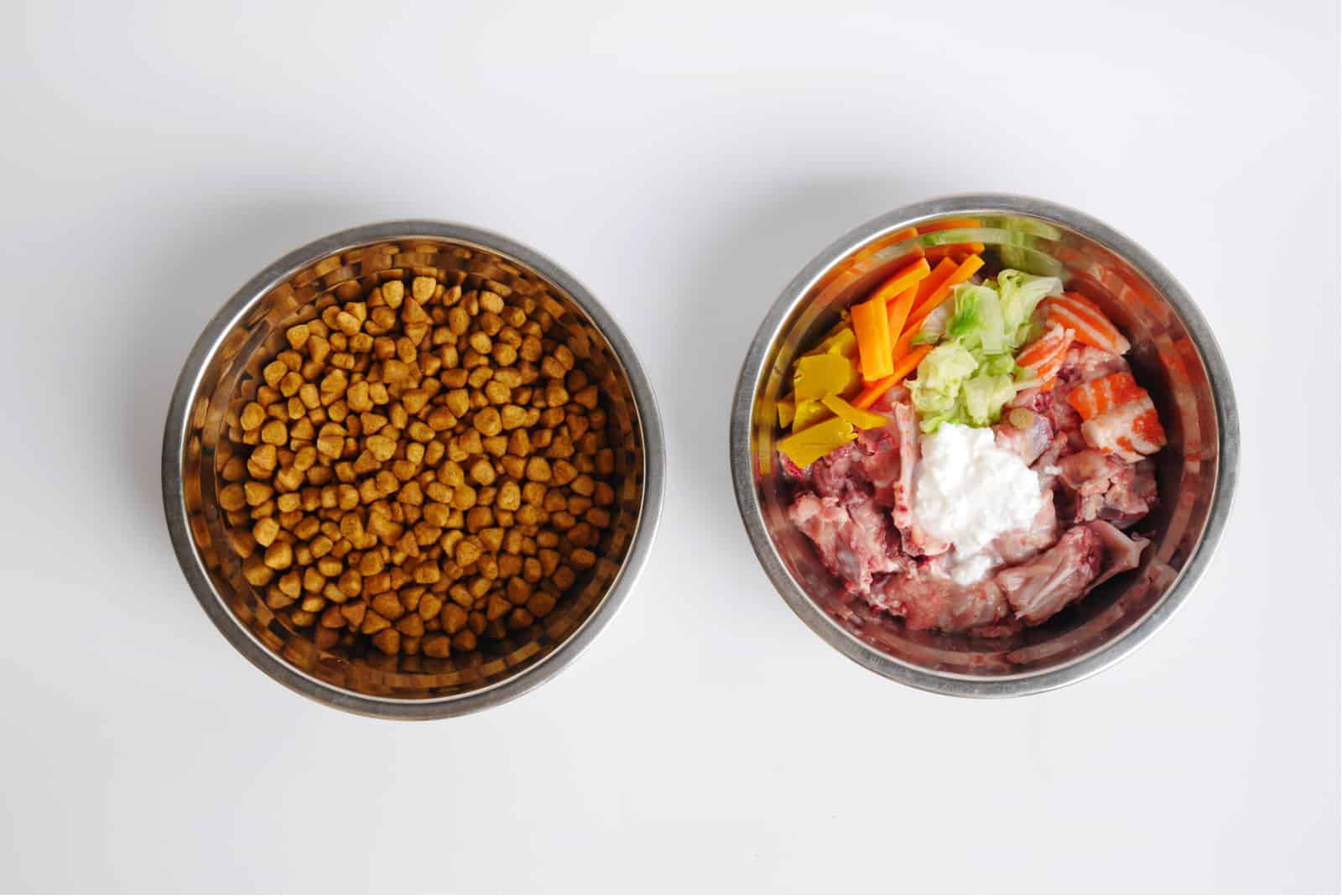 kibble and raw cat food