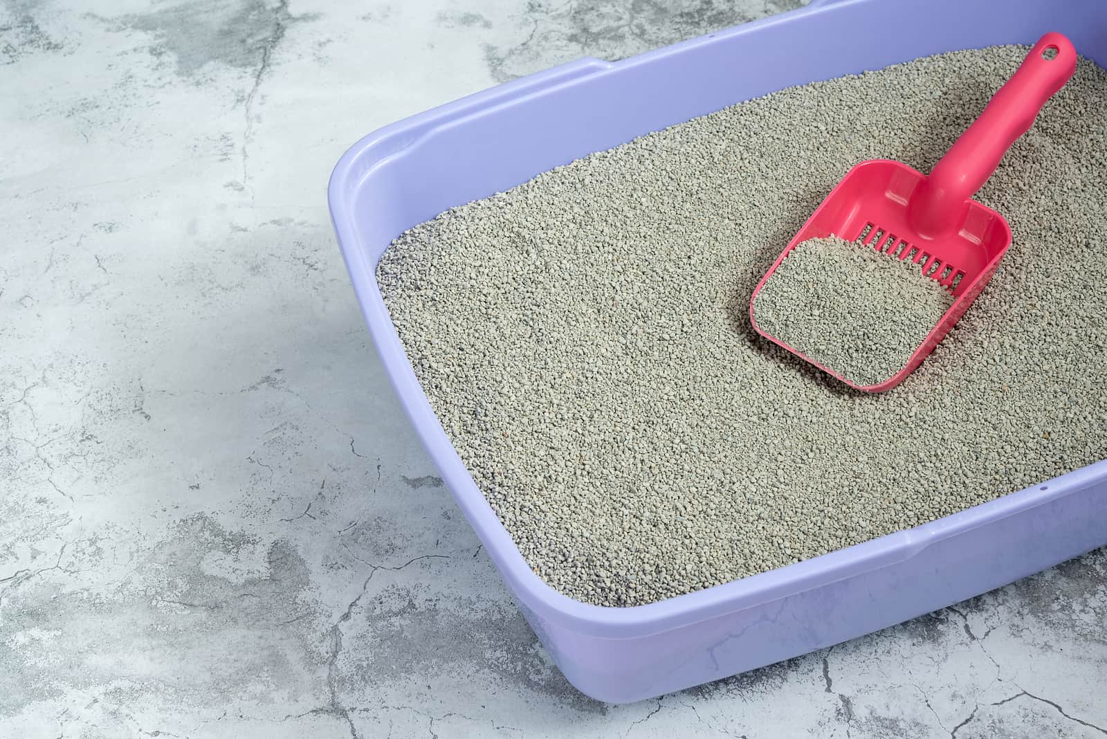 photo of a litter box with deodorizer