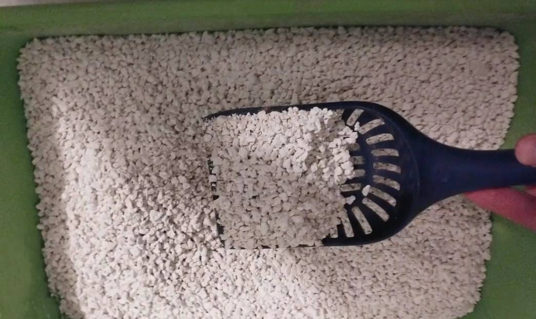 top view of person cleaning skoon cat litter
