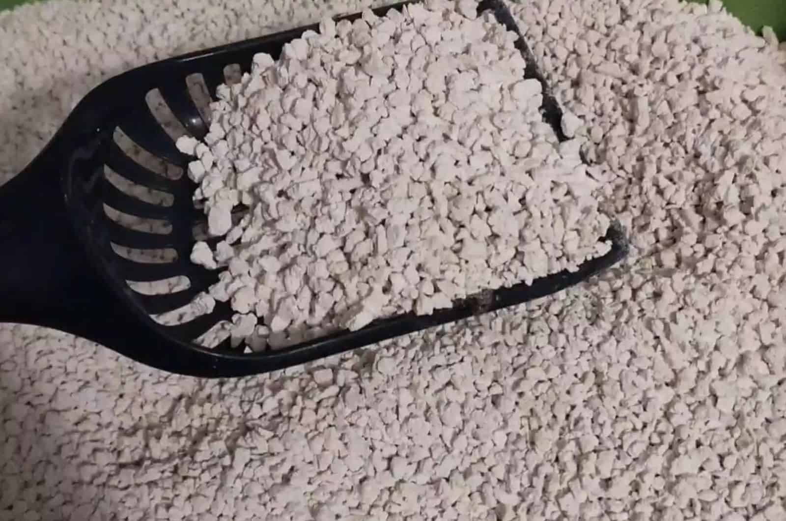 top view of skoon cat litter in a litter box