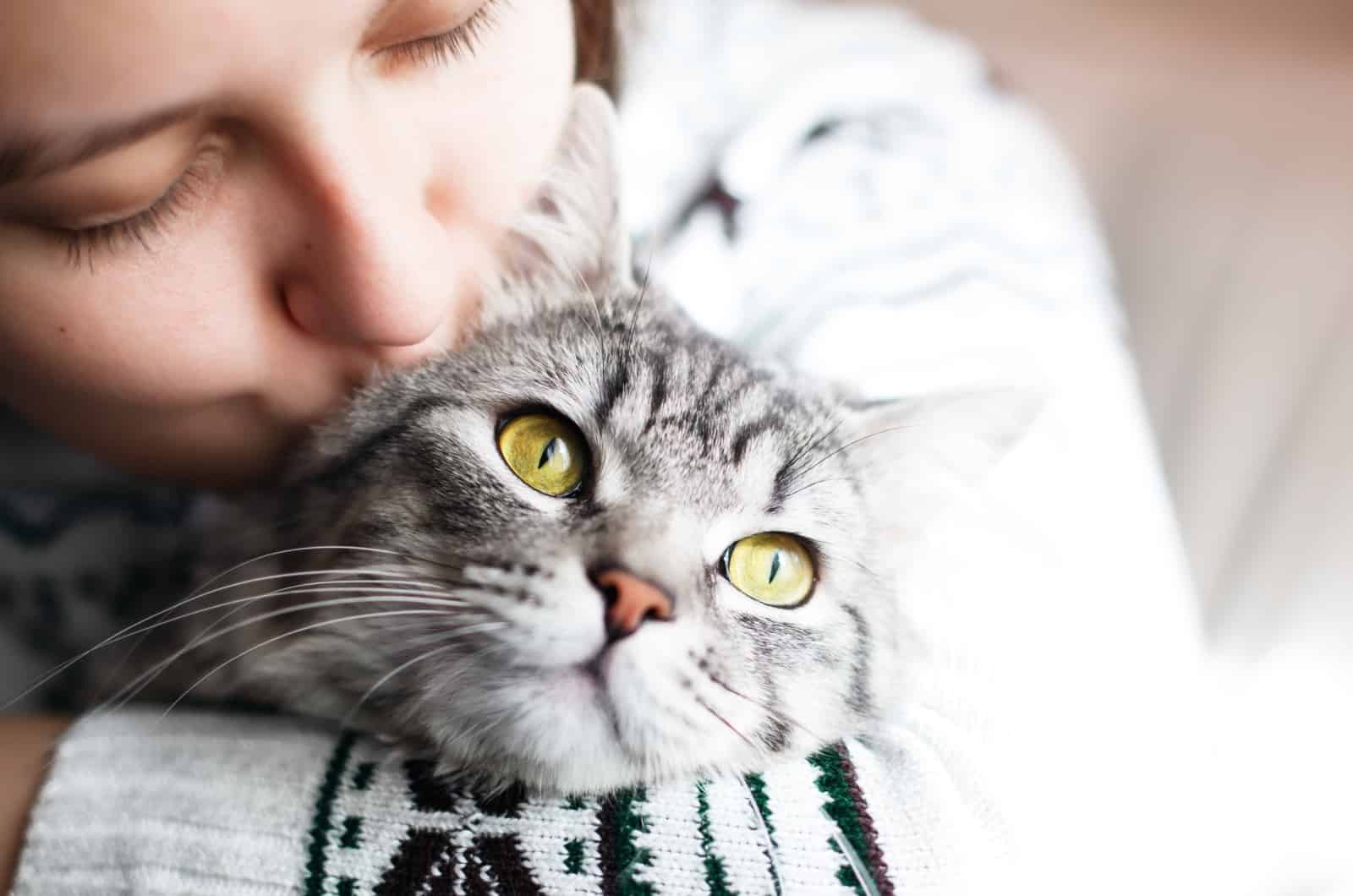 woman kissing her grey cat