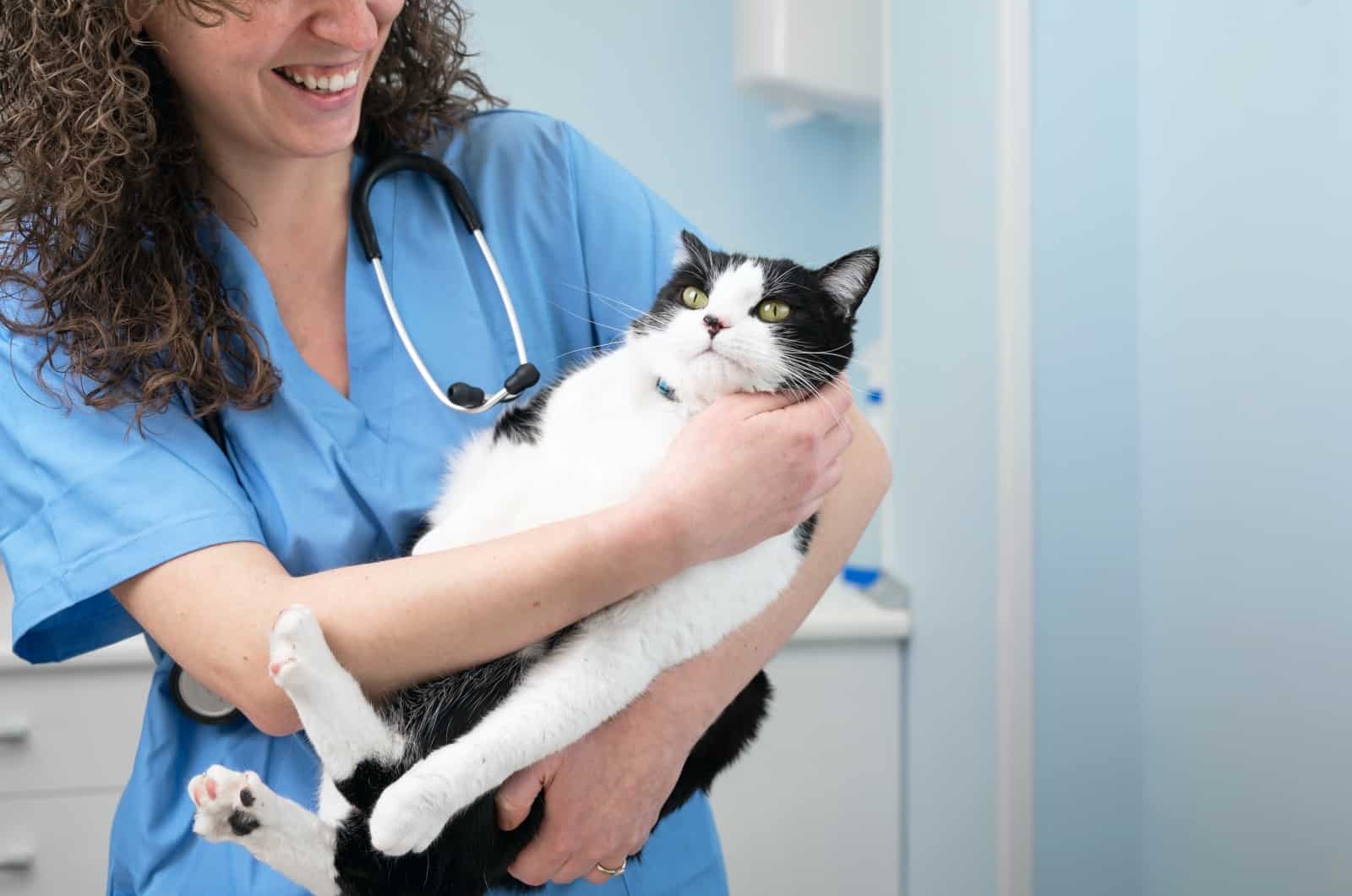 woman vet holding a cat