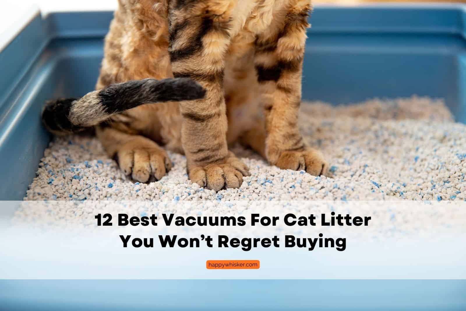 vacuums for cat