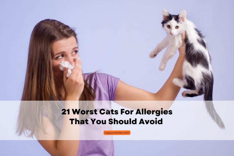 woman with allergies holding a black and white cat in her hand