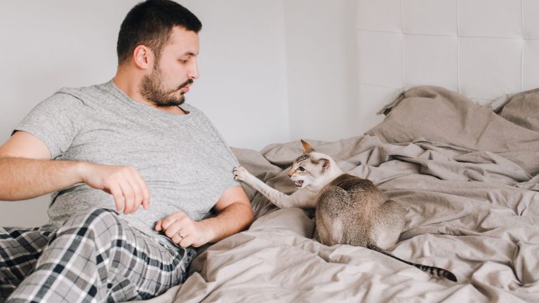 cat laying with owner on the bed