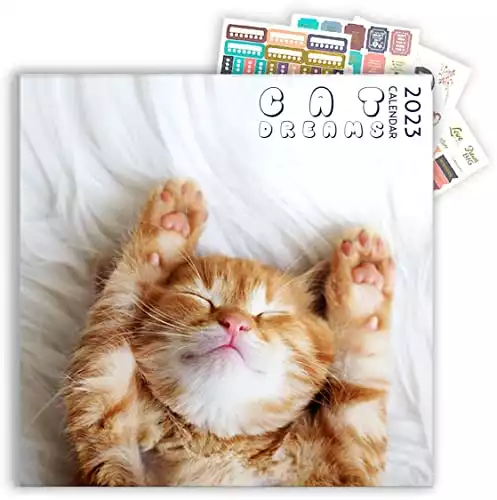 Cat Calendar 2023