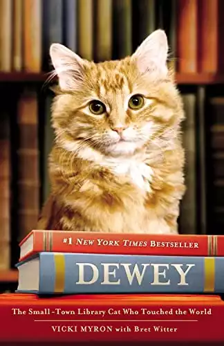 Dewey The Small-Town Library Cat Who Touched The World