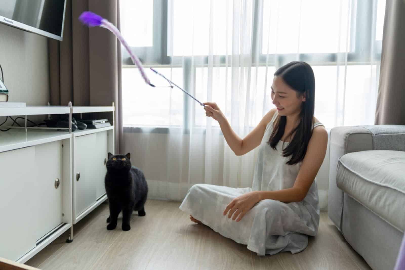 Asian woman using cat toy playing with her black cat on the floor