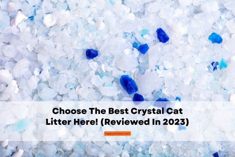 crystal cat litter