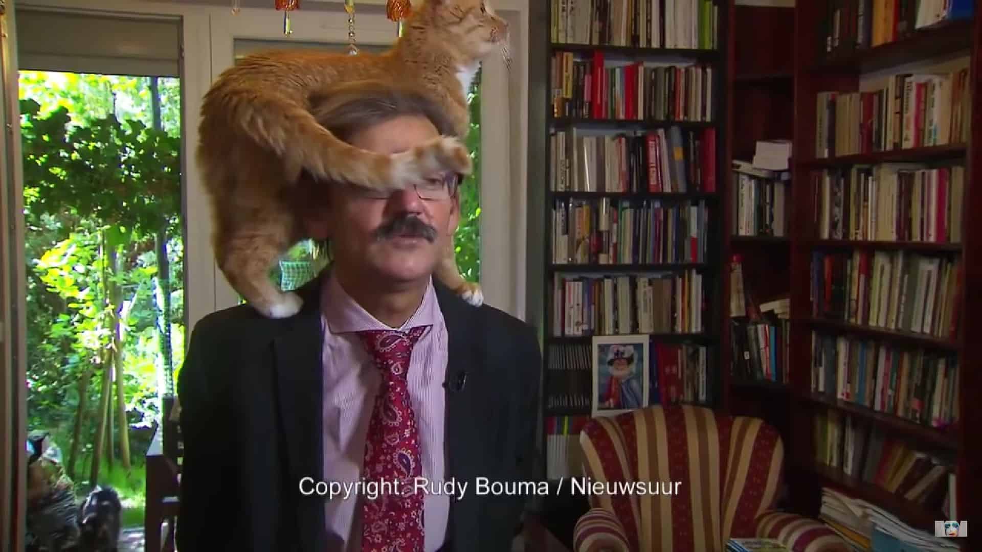 cat Interrupts a man while giving an interview