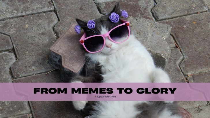 How Cats Are Rising In Pop Culture, From Memes To Glory