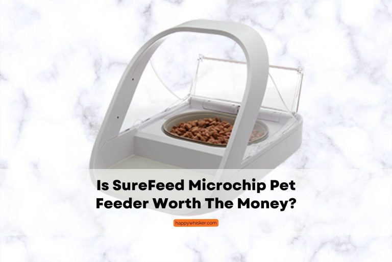 SureFeed Microchip Pet Feeder