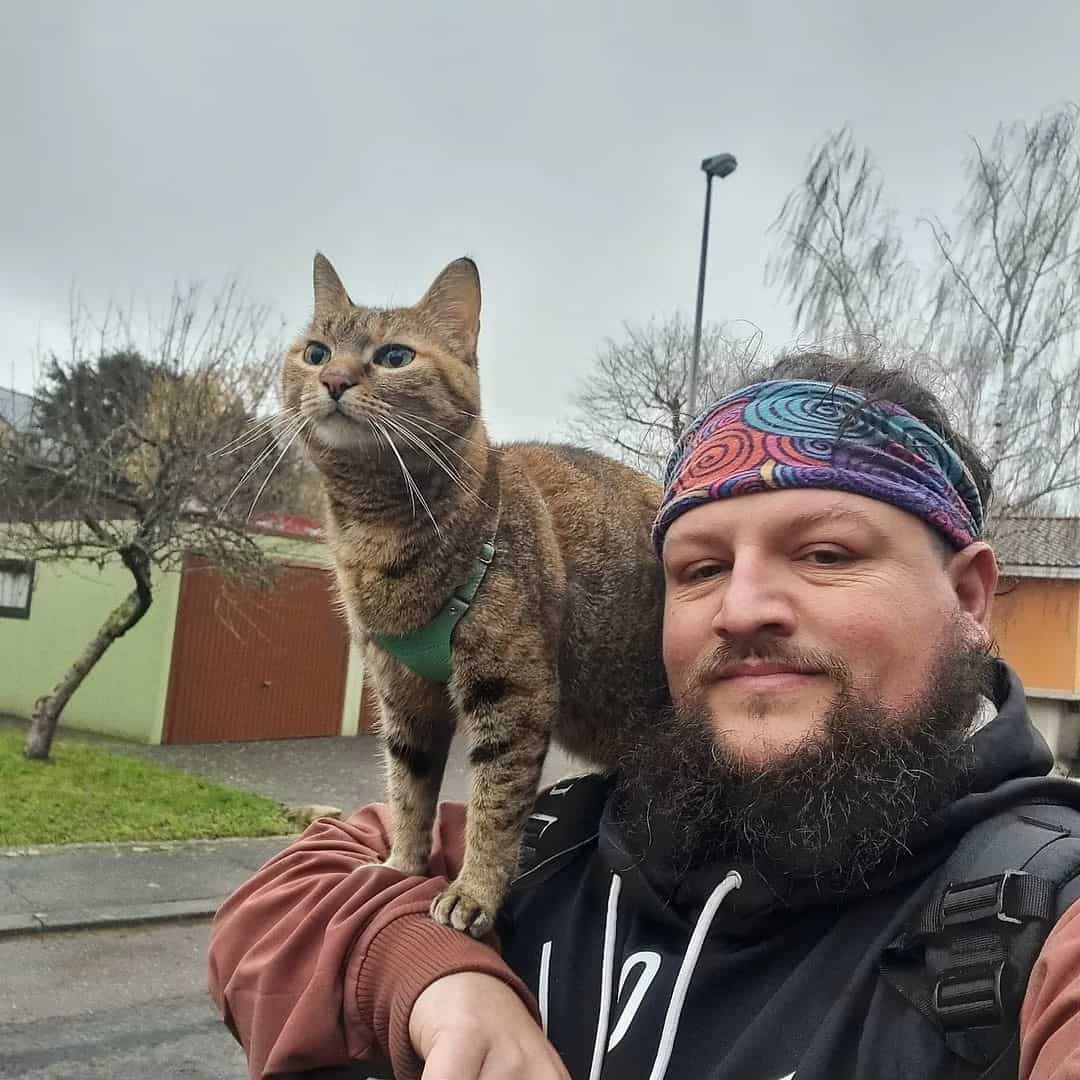 Nala the traveling cat standing on owner's shoulders