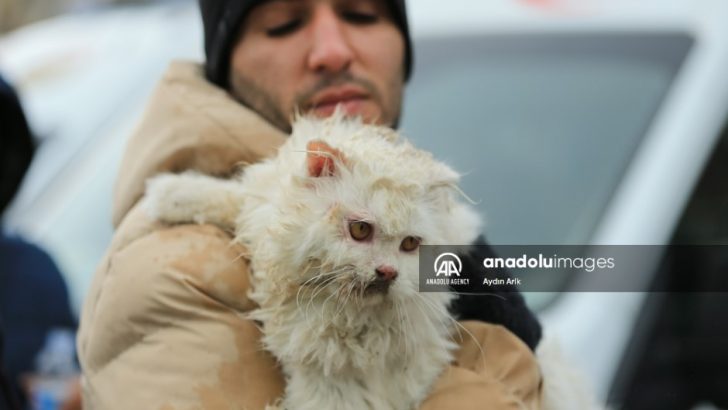 Officer Saves A Cat After Earthquake In Turkey And Syria