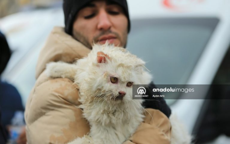 officer saves a cat after earthquake in turkey