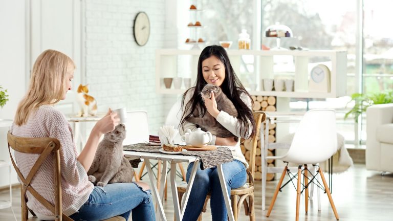 two women having a fun time at cat cafe