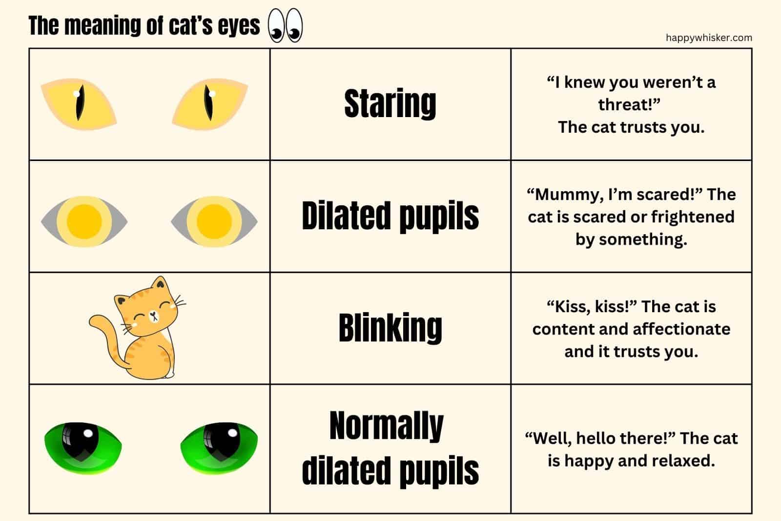 The meaning of cat’s eyes