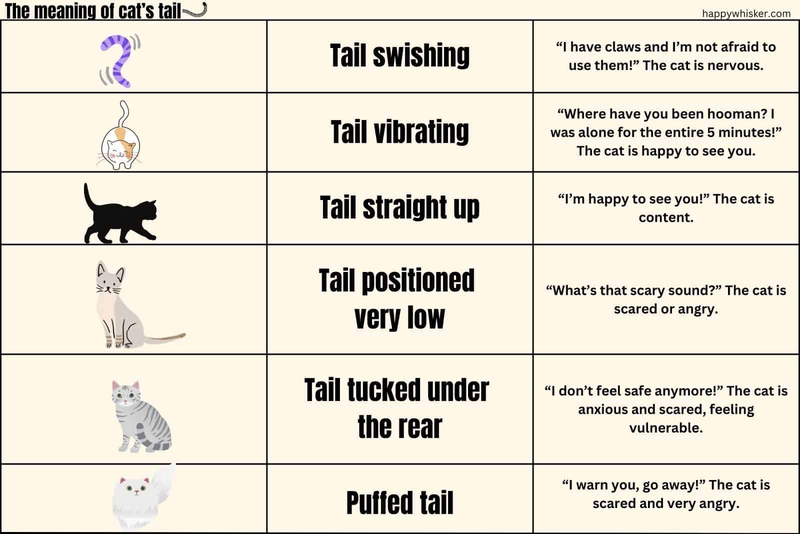 The meaning of cat’s tail