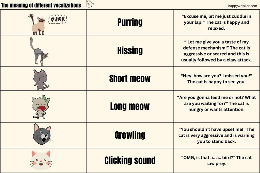 This Is How You Can Speak Cat Language