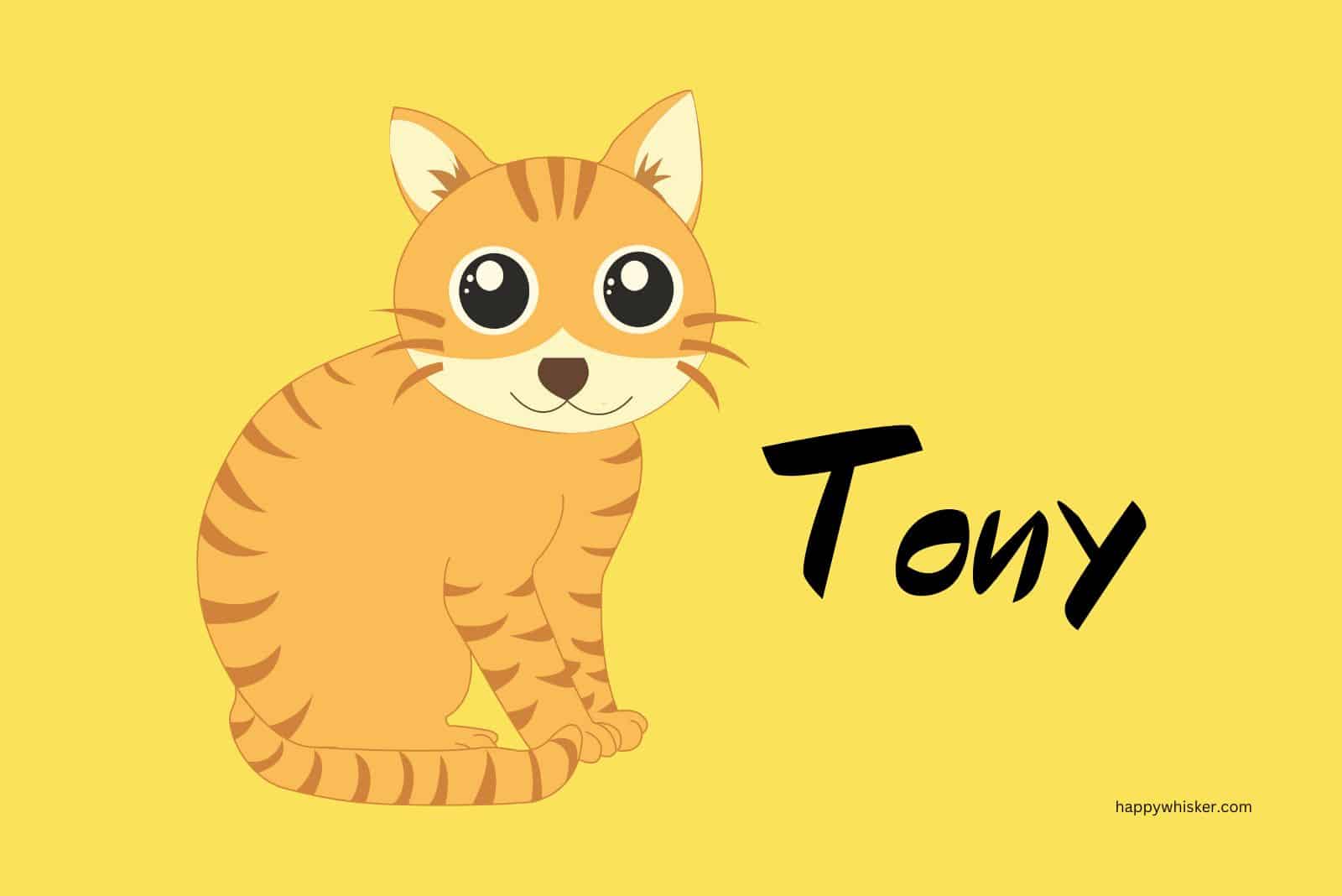 Tiger Cat named Tony