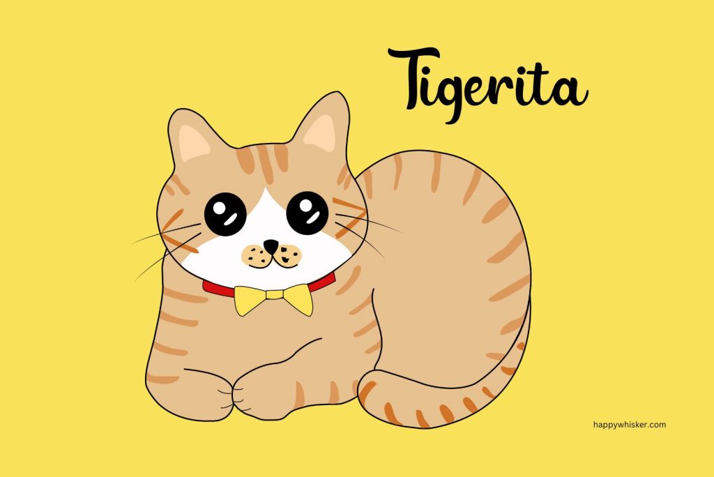 You'll Want To Adopt A Tabby After These 150 Tiger Cat Names
