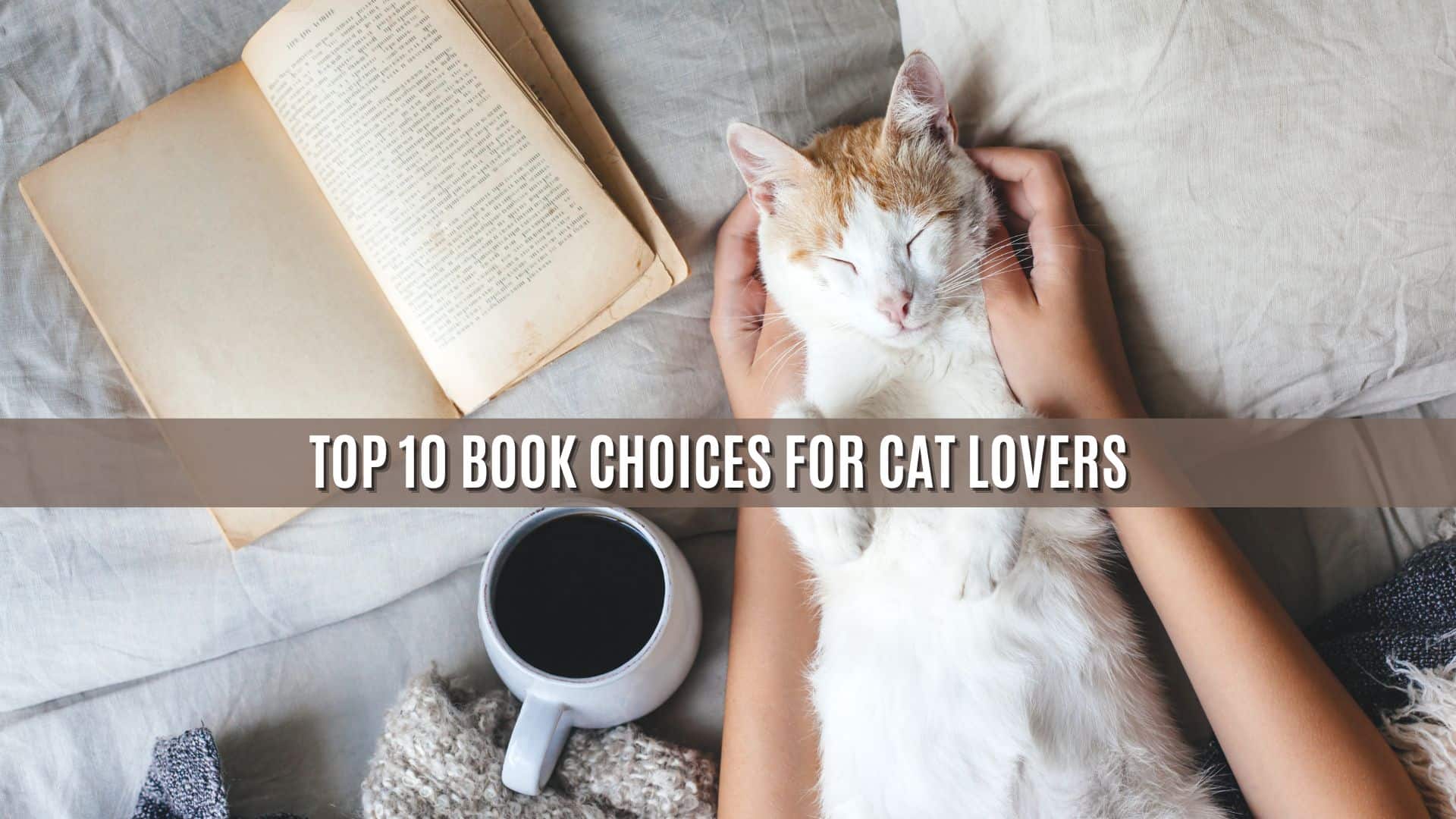 a woman caresses a cat next to an open book