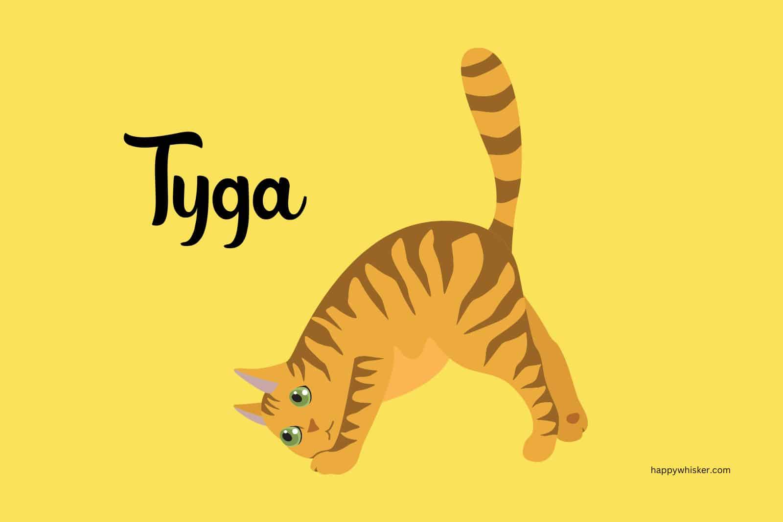 Tyga name of a tiger cat