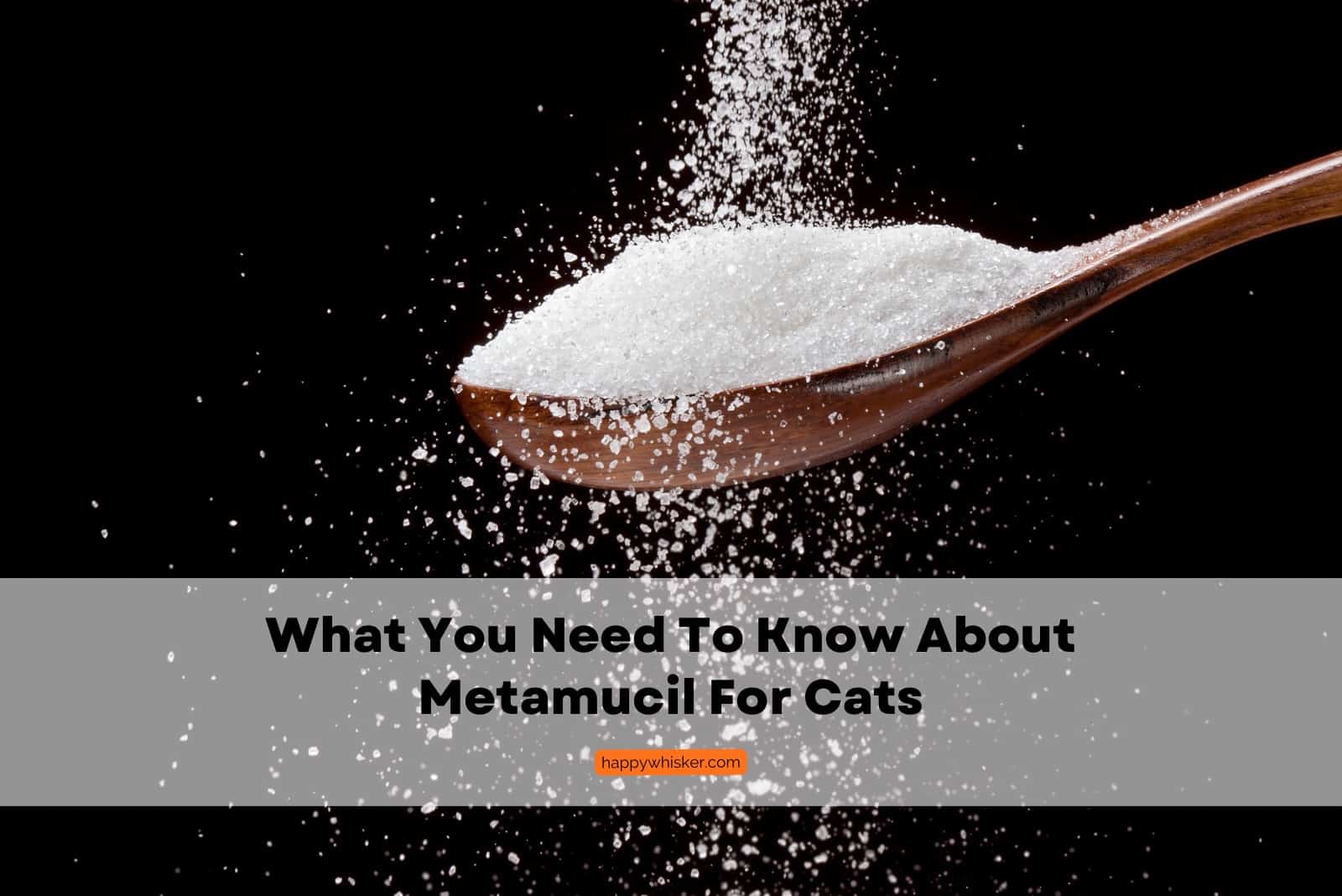 metamucil for cats