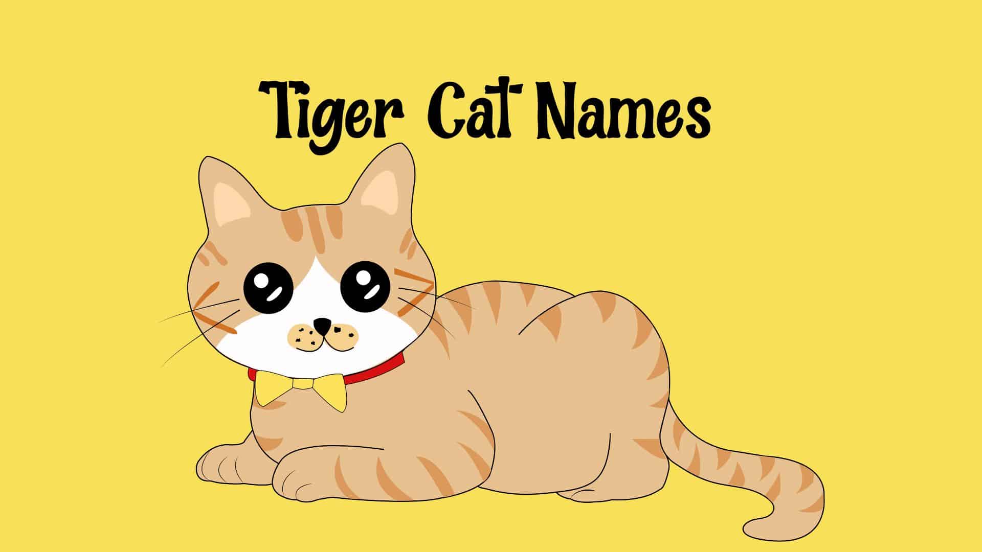 Tiger Cat Names