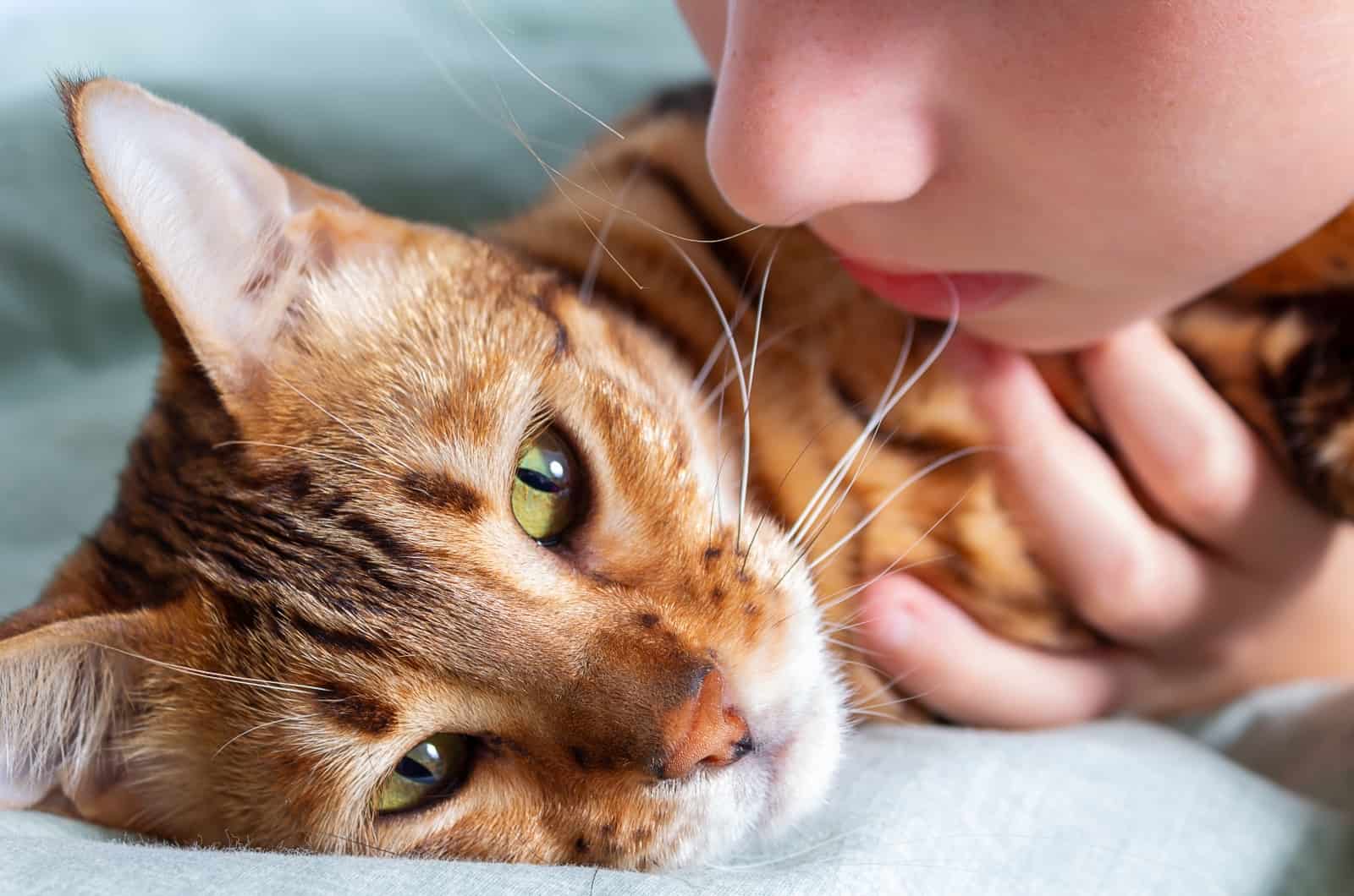 cat with Hyperthyroidism and girl