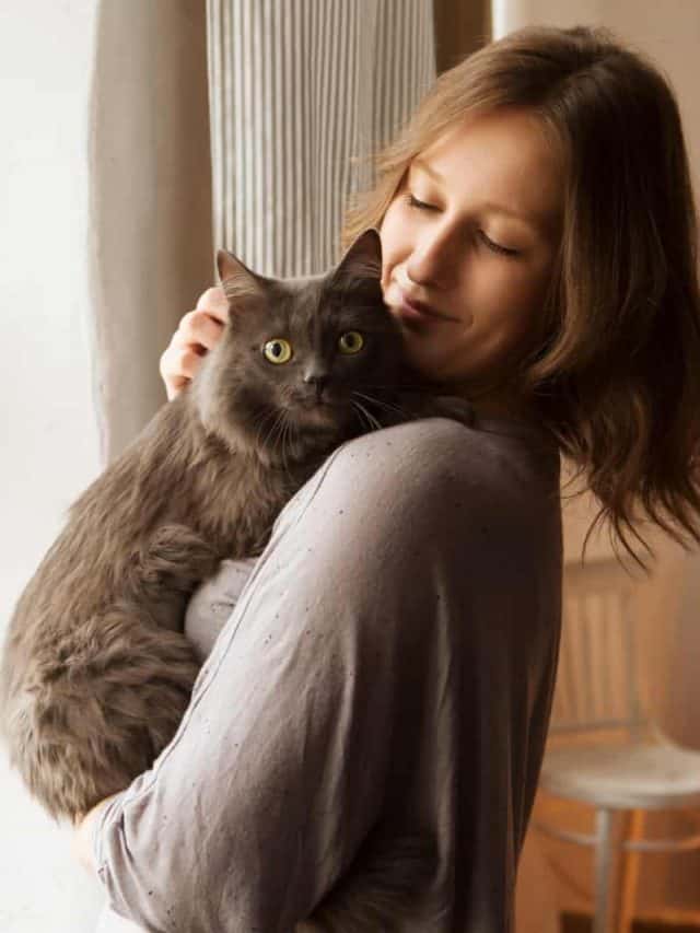 Young woman playing with cat in home