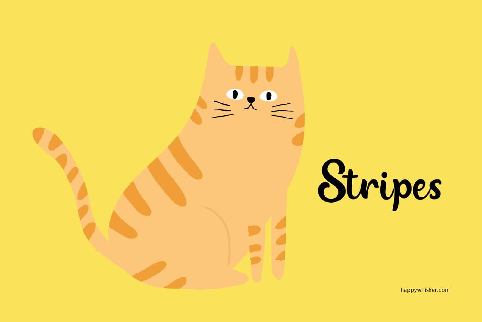 stripes cat